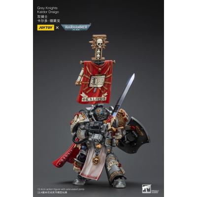 Warhammer 40k Figura 1/18 Grey Knights Kaldor Draigo 14 cm