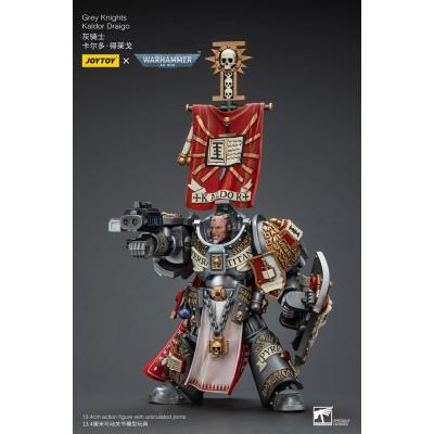 Warhammer 40k Figura 1/18 Grey Knights Kaldor Draigo 14 cm