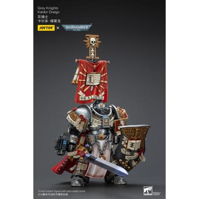 Warhammer 40k Figura 1/18 Grey Knights Kaldor Draigo 14 cm