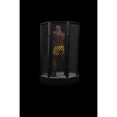 UFC Estatua 1/10 Deluxe Art Scale Anderson "Spider" Silva - Signed Version 22 cm