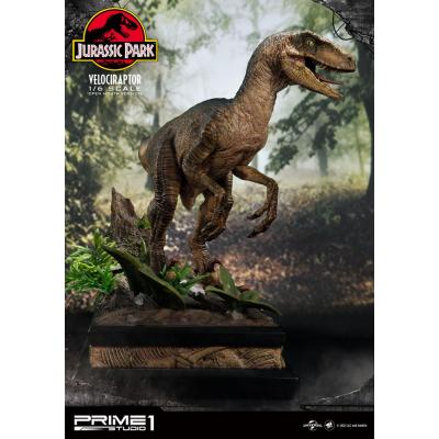 Jurassic Park Estatua 1/6 Velociraptor 41 cm