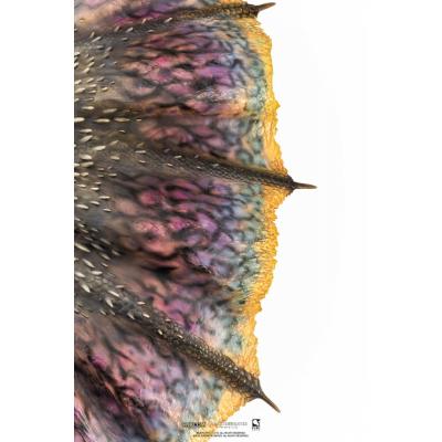 Monster Hunter Estatua 1/26 Moster Hunter World Nergigante 77 cm