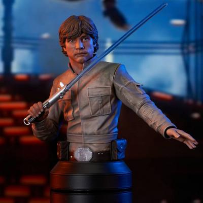 Star Wars Episode V Busto 1/6 Luke Skywalker 15 cm