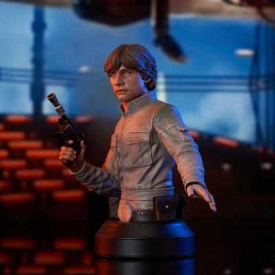 Star Wars Episode V Busto 1/6 Luke Skywalker 15 cm