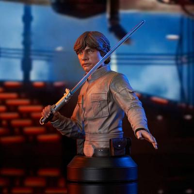 Star Wars Episode V Busto 1/6 Luke Skywalker 15 cm