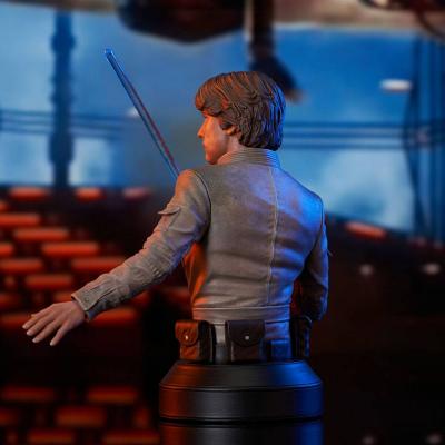 Star Wars Episode V Busto 1/6 Luke Skywalker 15 cm