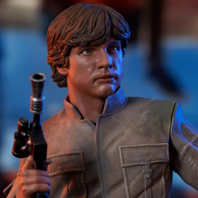 Star Wars Episode V Busto 1/6 Luke Skywalker 15 cm