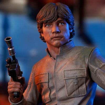 Star Wars Episode V Busto 1/6 Luke Skywalker 15 cm