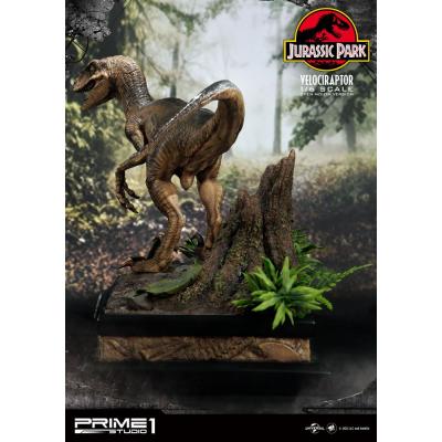 Jurassic Park Estatua 1/6 Velociraptor 41 cm