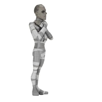 Universal Monsters Toony Terrors Figuras 15 cm Surtido Silver Screen Edition Series 10 (12)