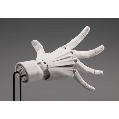 Takahiro Kagami Artist Support Item Hand PVC 1/1 Model Men /R White 22 cm